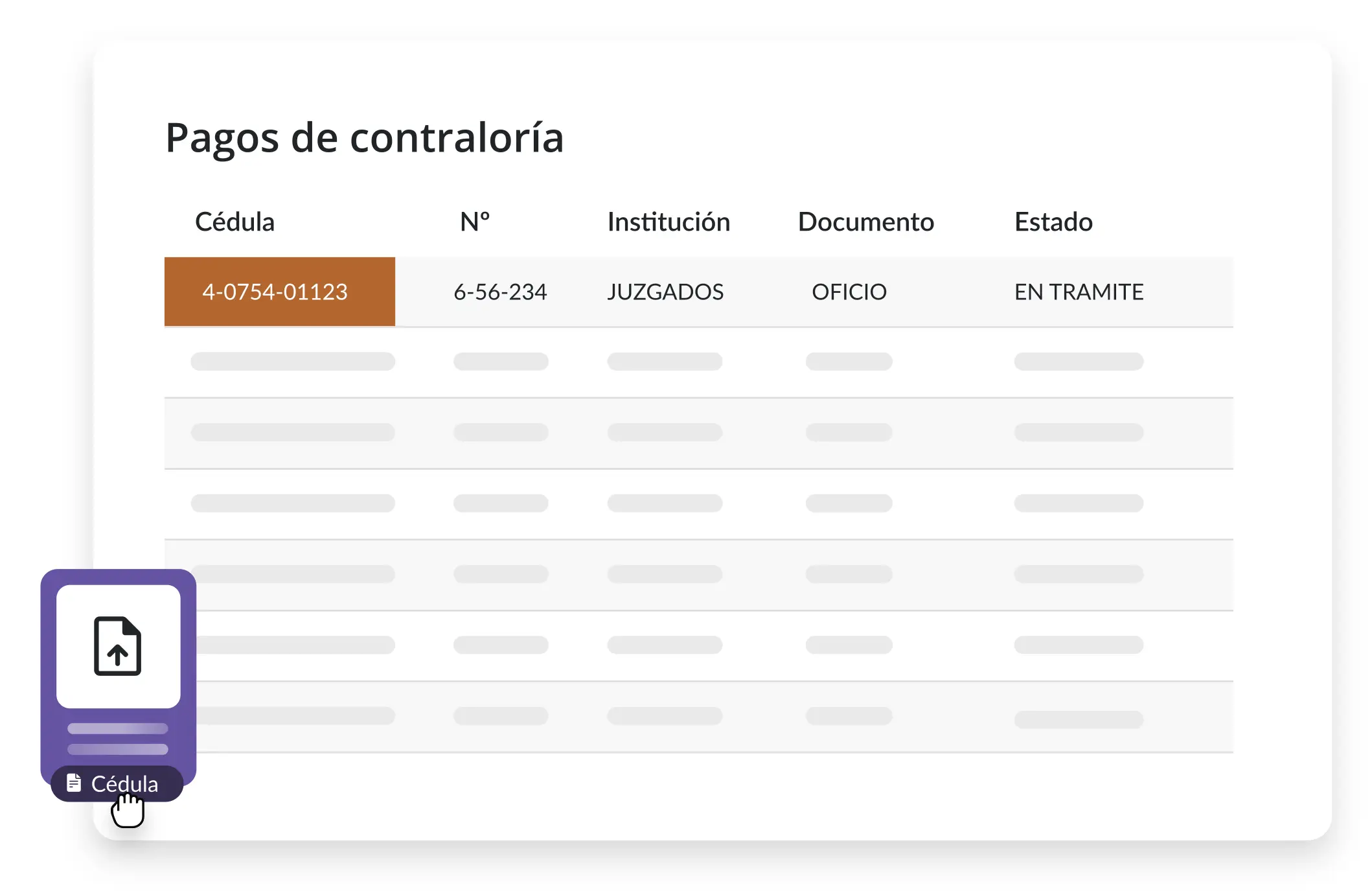 Pagos de contraloría